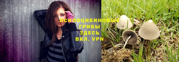 твердый Белокуриха