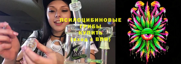 твердый Белокуриха